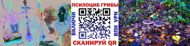 Галлюциногенные грибы Psilocybine cubensis  Нижняя Салда 